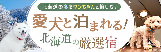 定山渓 森 の コレクション 歌 ペット